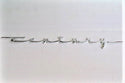 Century Chrome Nameplate
